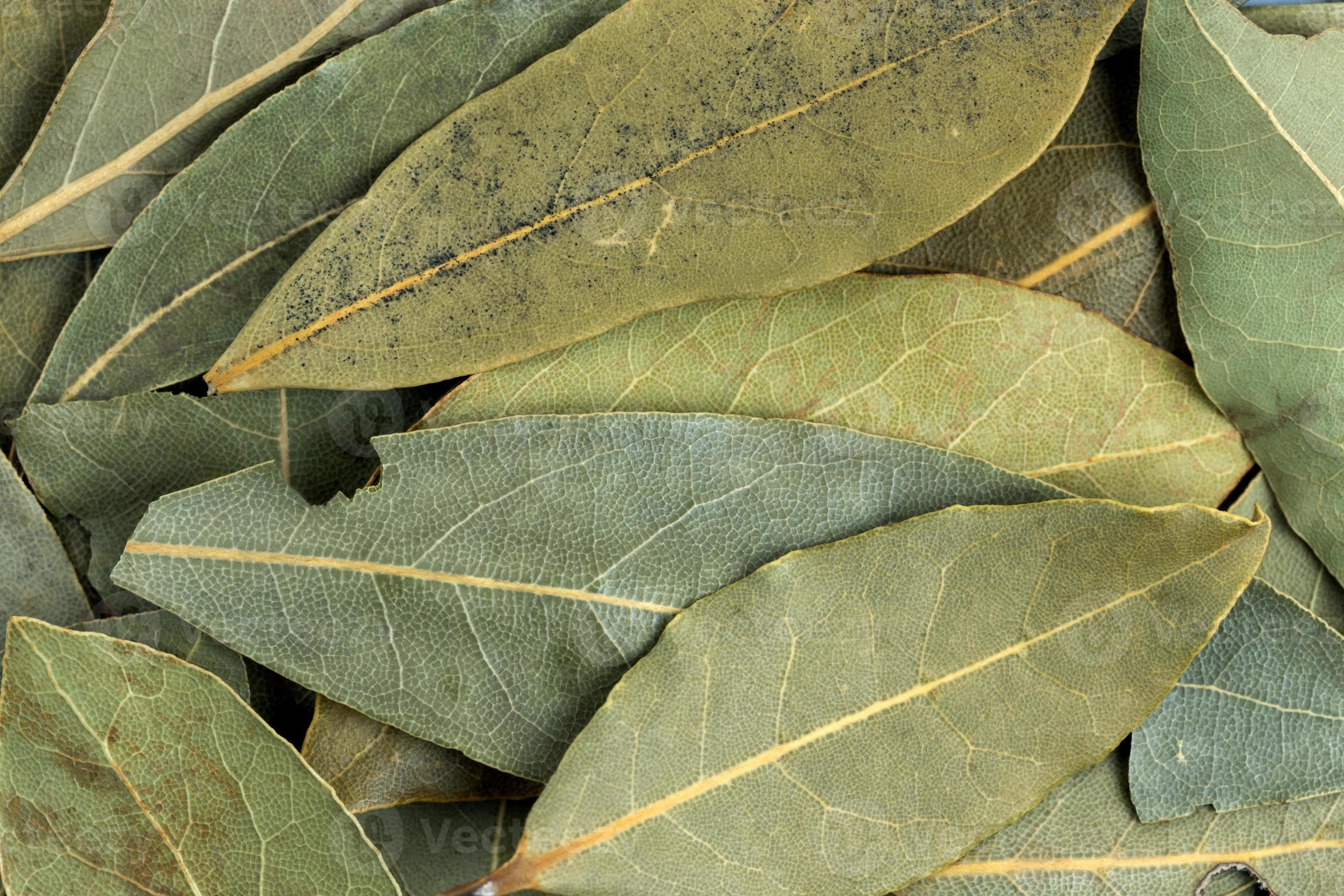 Organic Bay Leaf