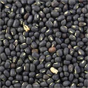 Organic Black Urad Dal